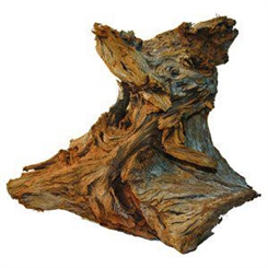 Trærod 25-40cm L Mangrove - Assorteret pluk